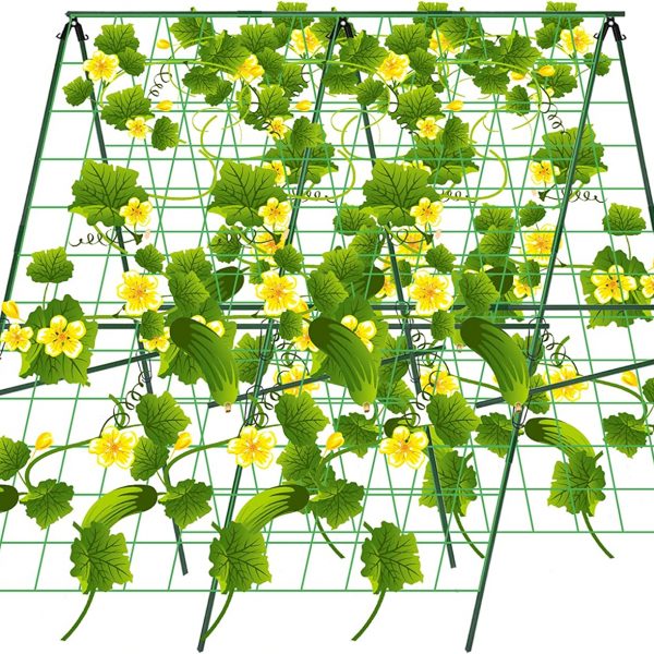 48 x 48Inch Foldable Cucumber Trellis Set
