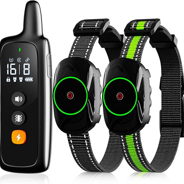 Dog Shock Collar for 2 Dogs