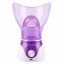 Face-Steamer1.jpg